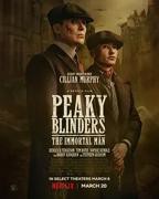 《浴血黑帮：不朽传奇》美剧全集高清完整版免费在线观看