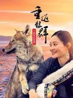 《重返狼群》高清免费观看全集