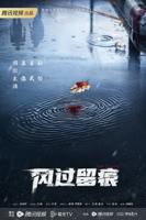 《风过留痕》电视剧免费观看全集完整版