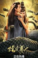 《美人》在线观看免费高清电视剧