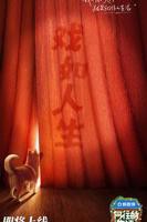 《向往的生活》第8季免费观看完整版全集