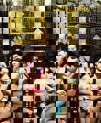 《鸭王1》电视剧在线观看全集高清完整版