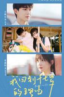 《我回到十七岁的理由》短剧完整版免费在线观看