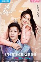 《护心》电视剧免费观看全集在线播放